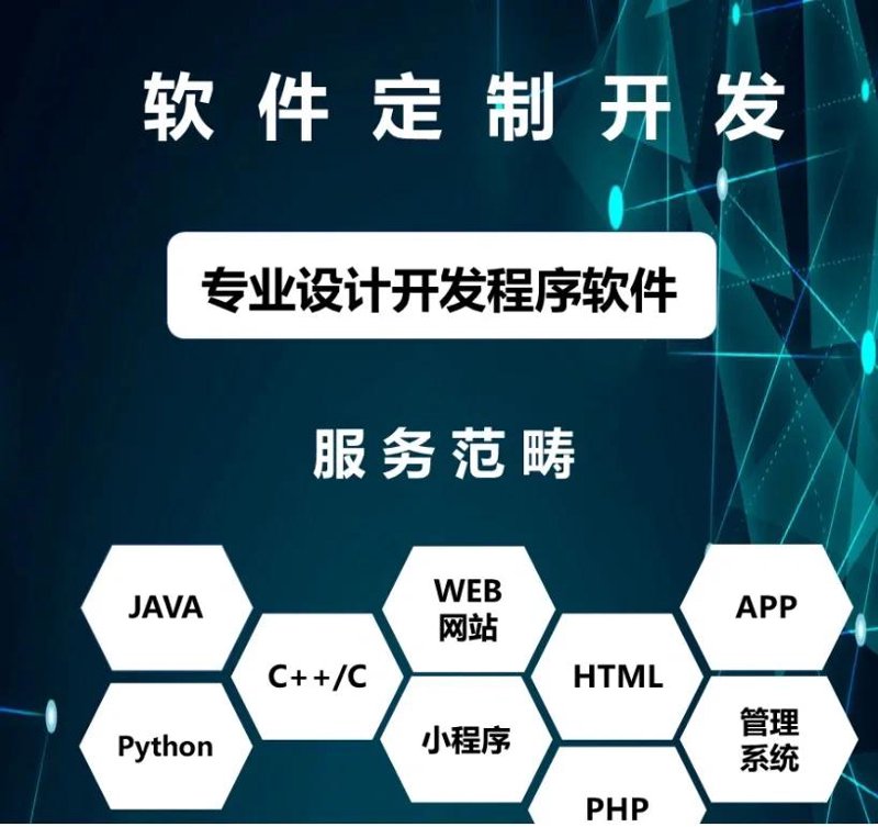 软件定制开发:企业竞争力的新引擎